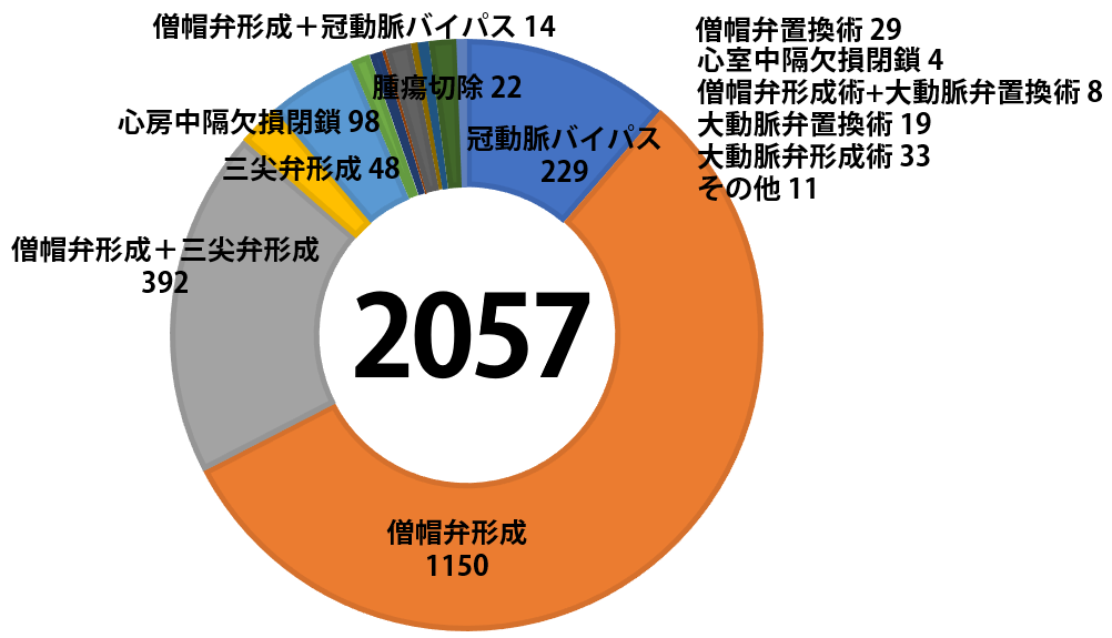 ロボット支援下心臓手術 ダビンチ症例数（チーム・ワタナベとして）